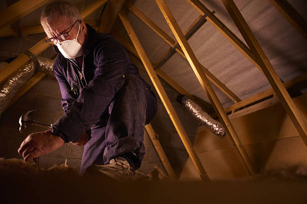 Best Residential Insulation in Bellwood, IL